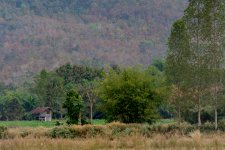 another-wooden-house-1-2.jpg