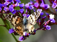 _ROY5209_00001_01.jpg