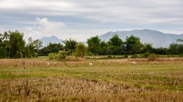farm1-1.jpg