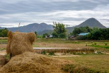 farm1-2.jpg