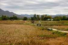 farm1-3.jpg