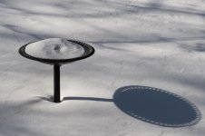 DSC_7360.jpg
