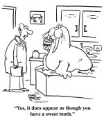 16_Walrus.jpg