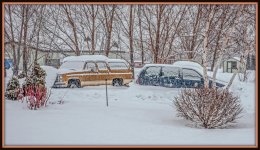 750_8187-Edit-2.jpg