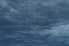 _ROY5683_00001.jpg