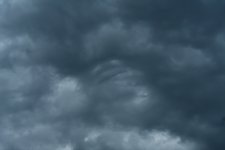 _ROY5687_00001.jpg