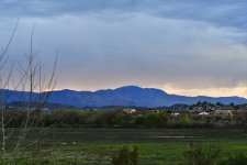 _ROY5685_00001.jpg