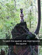 squig.jpg