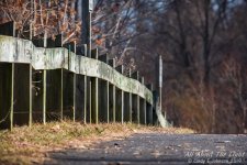 _NIK0224 low res.jpg