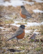 _NIK0234 low res.jpg