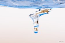 Icecycles-407.jpg