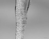 Icecycles-401.jpg