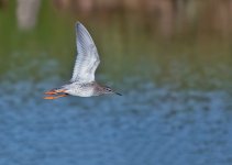 dsc_509.jpg