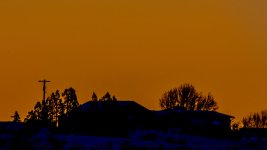 DSC_4090.jpg