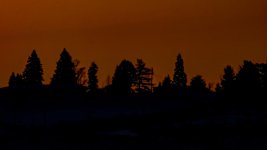 DSC_4101-Edit.jpg