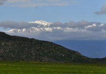 _ROY5890_00001.jpg