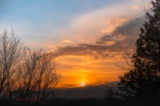 Morning Sun-60191.jpg