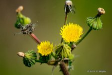 D73_2616.jpg