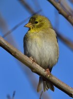 _ROY6192_00001.jpg