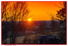 Morning Sun-.jpg