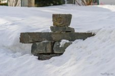 DSC_7435.jpg