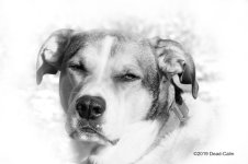 High Key Guidry N 500_8979.jpg