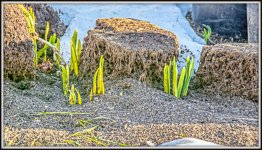 DSC_2900-Edit.jpg