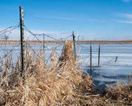 Fence-400.jpg