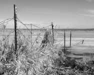 Fence-401.jpg