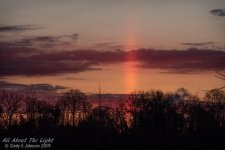 _DSC9460 low res.jpg