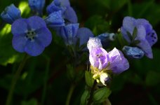 _ROY6633_00001_01.jpg