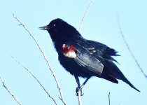 _ROY6637_00001.jpg