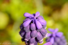 20190316-_D714697.jpg
