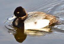 _ROY6824_00001.jpg