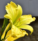 _ROY6889_00001.jpg