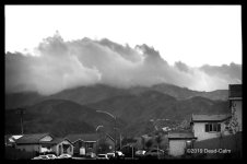 Marine Layer N 500_9271.jpg