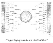 55533166_2052497711536205_1666896577312063488_n.jpg