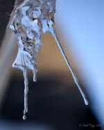 MCA_8684-Modifier.jpg
