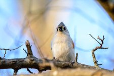 20190327-_D716339.jpg