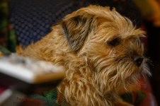 Reluctant model-0439-Edit.jpg
