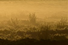 _ROY8394_00001.jpg