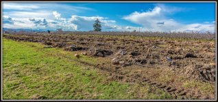 710_0351-Pano-Edit.jpg