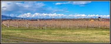 710_0314-Pano-Edit.jpg