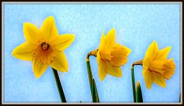 710_0618-Edit.jpg