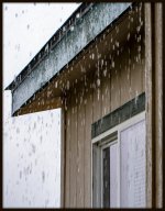 DSC_3421.jpg