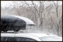 DSC_3432.jpg