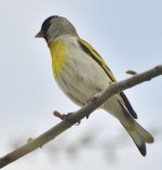 _ROY8818_00001.jpg