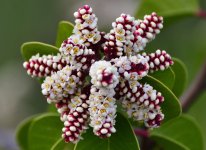 _ROY8962_00001.jpg