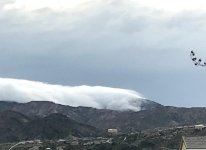 IMG_1659.jpg