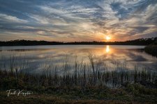 LaStrangePreserve-1.jpg